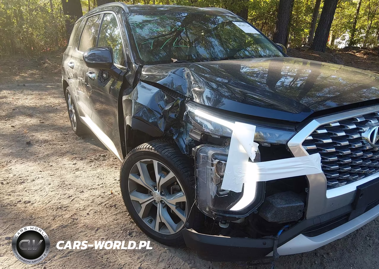 2020 Hyundai Palisade Sel VIN:KM8R44HE3LU061726 - 6
