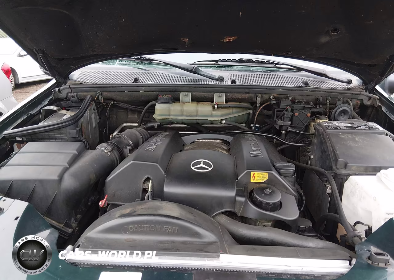 2000 Mercedes-Benz Ml 320 VIN:4JGAB54E9YA174183 - 10