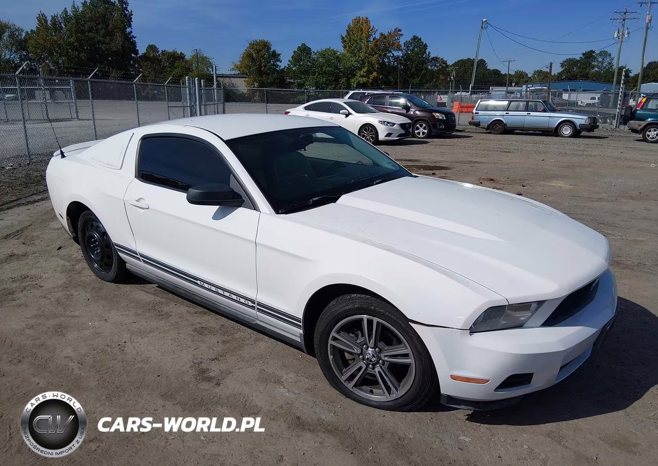 2010 Ford Mustang VIN:1ZVBP8AN9A5131121 - 1
