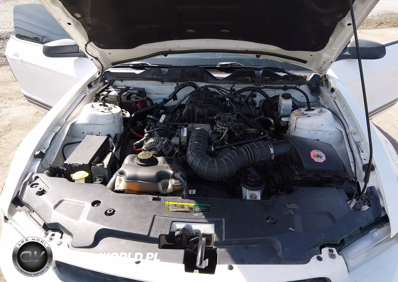 2010 Ford Mustang VIN:1ZVBP8AN9A5131121 - 10