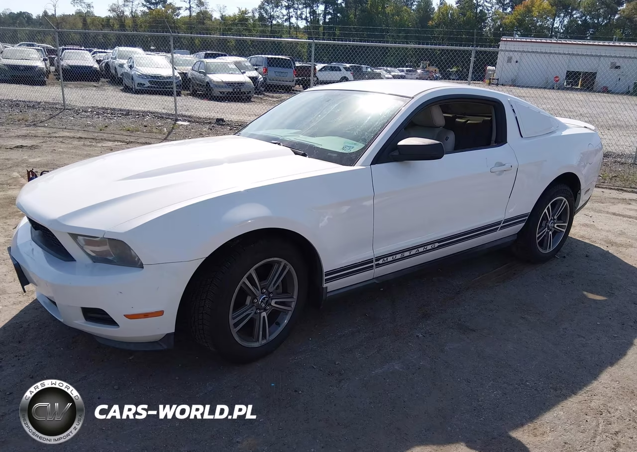 2010 Ford Mustang VIN:1ZVBP8AN9A5131121 - 2
