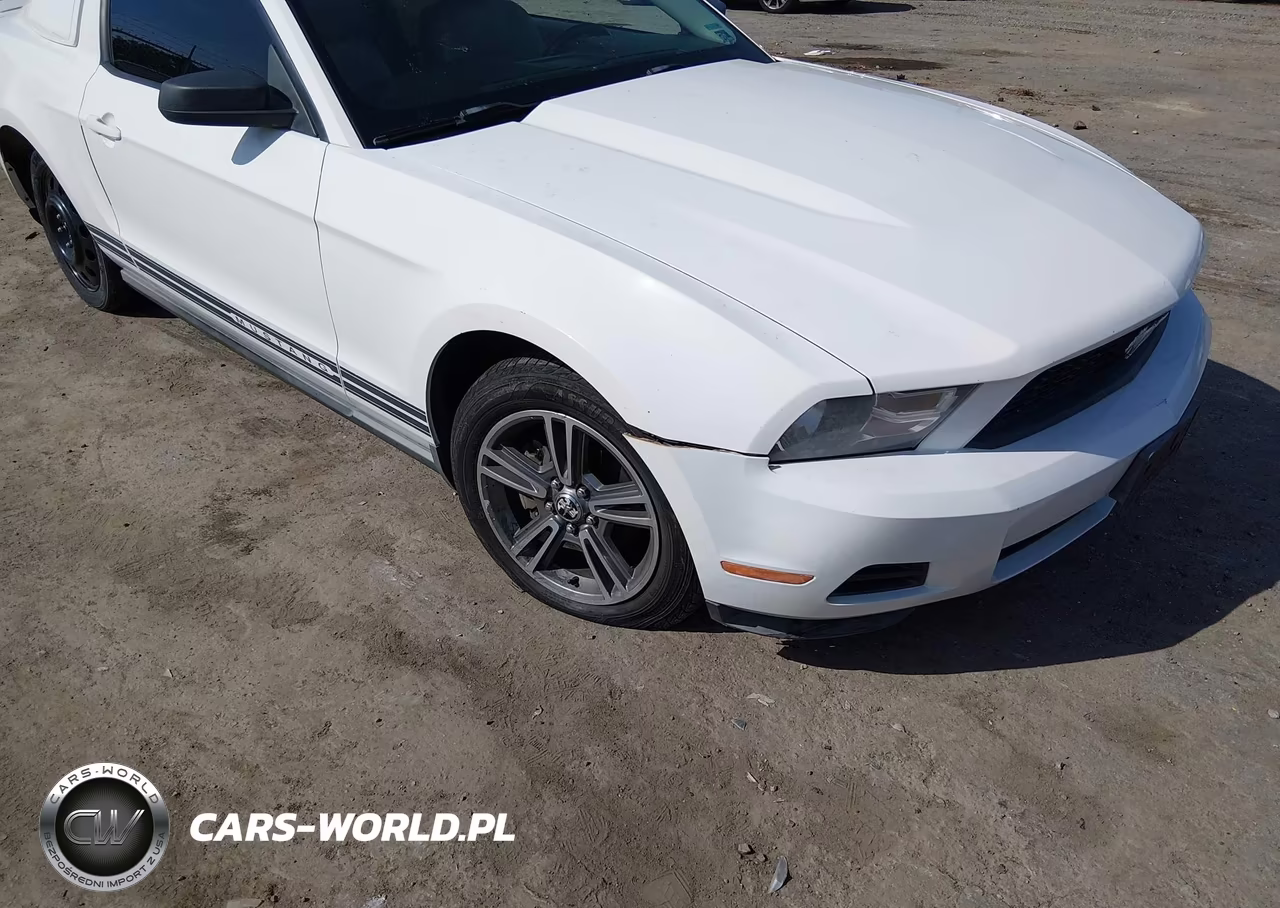 2010 Ford Mustang VIN:1ZVBP8AN9A5131121 - 6
