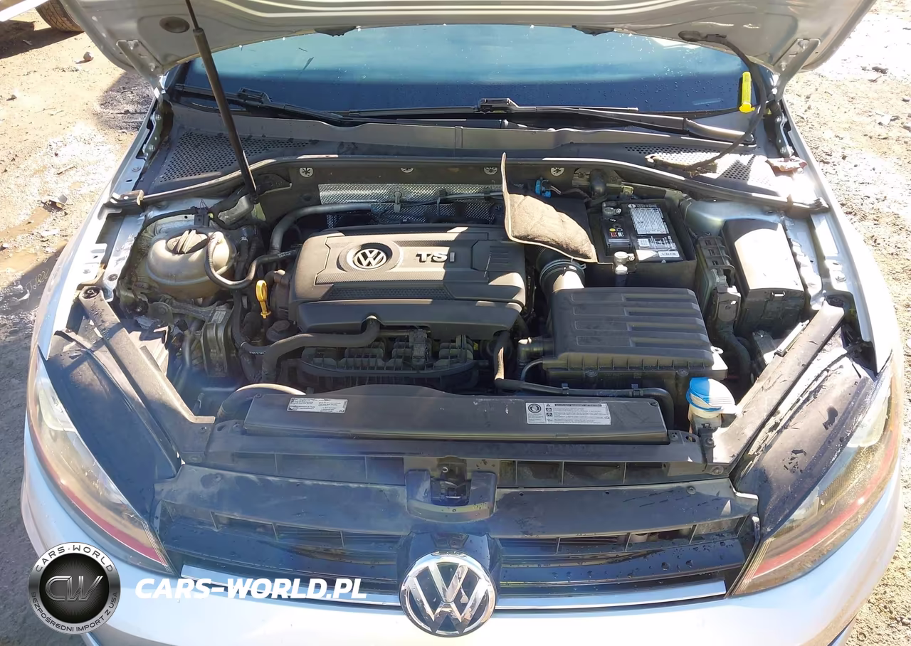 2016 Volkswagen Golf Gti Autobahn W-Performance Package 4-Door VIN:3VW447AU4GM048220 - 10