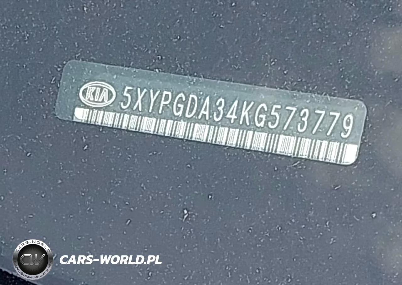 2019 Kia Sorento 2.4L Lx VIN:5XYPGDA34KG573779 - 9