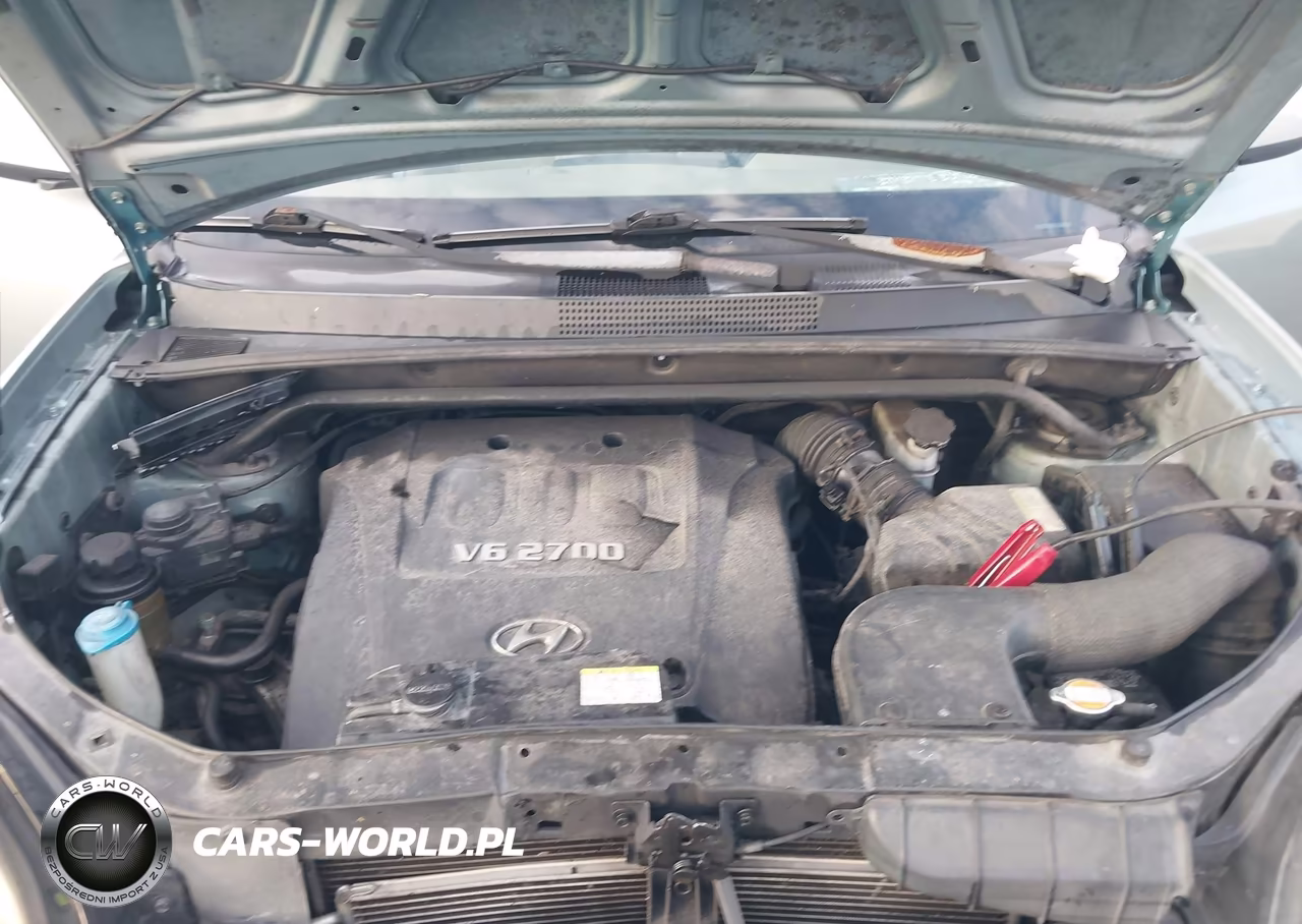 2005 Hyundai Tucson Gls-Lx VIN:KM8JN12D25U130286 - 10