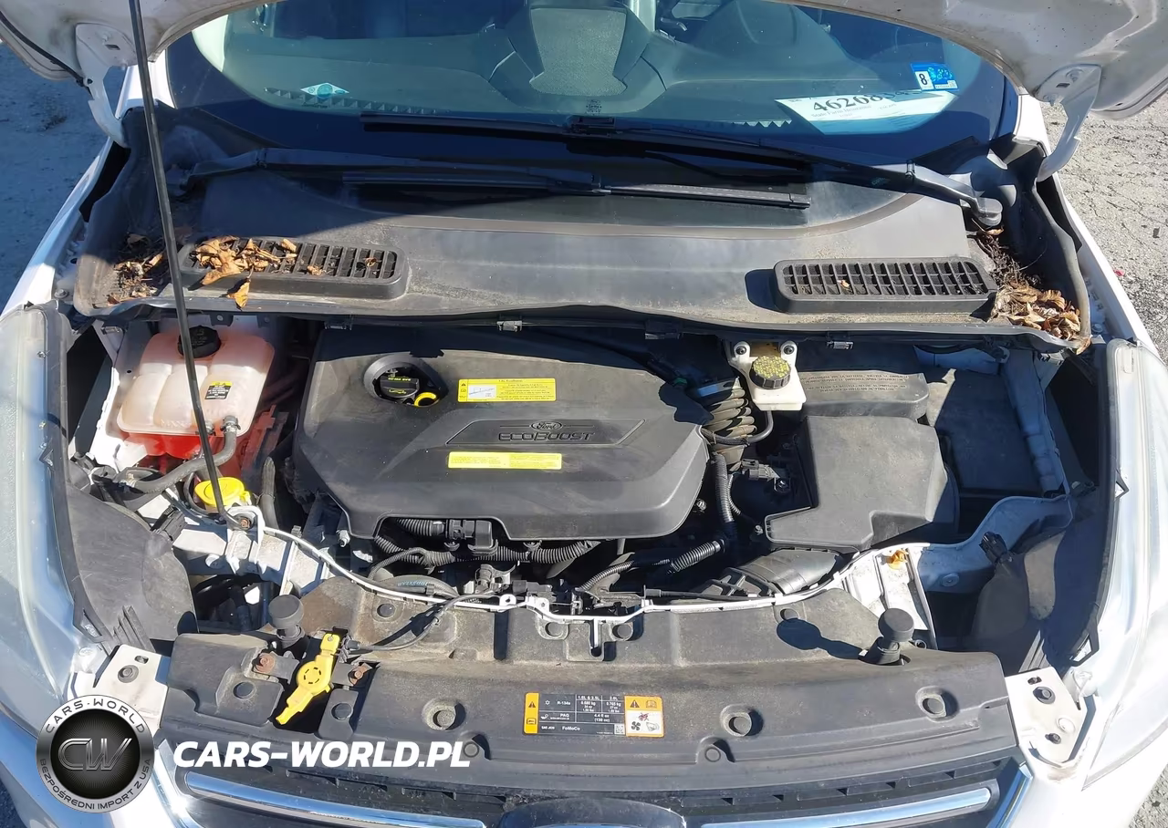 2013 Ford Escape Sel VIN:1FMCU0HX7DUD84758 - 10
