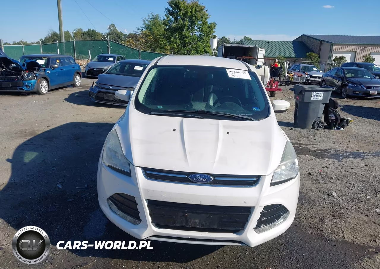 2013 Ford Escape Sel VIN:1FMCU0HX7DUD84758 - 13