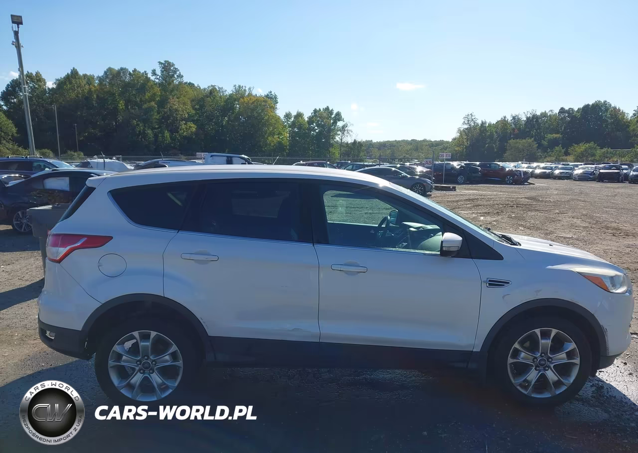 2013 Ford Escape Sel VIN:1FMCU0HX7DUD84758 - 14