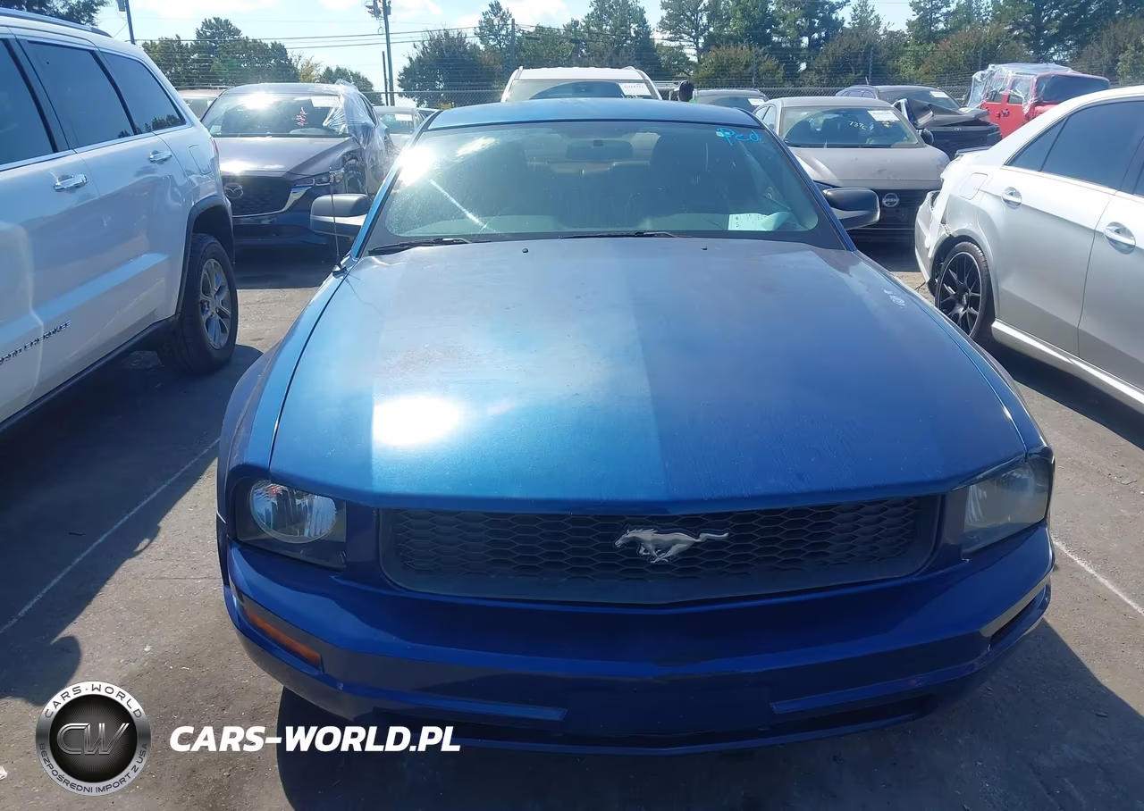 2007 Ford Mustang V6 Deluxe-V6 Premium VIN:1ZVHT80N675366270 - 6