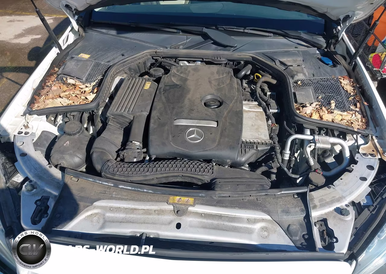 2016 Mercedes-Benz C 300 4Matic VIN:55SWF4KBXGU156152 - 10