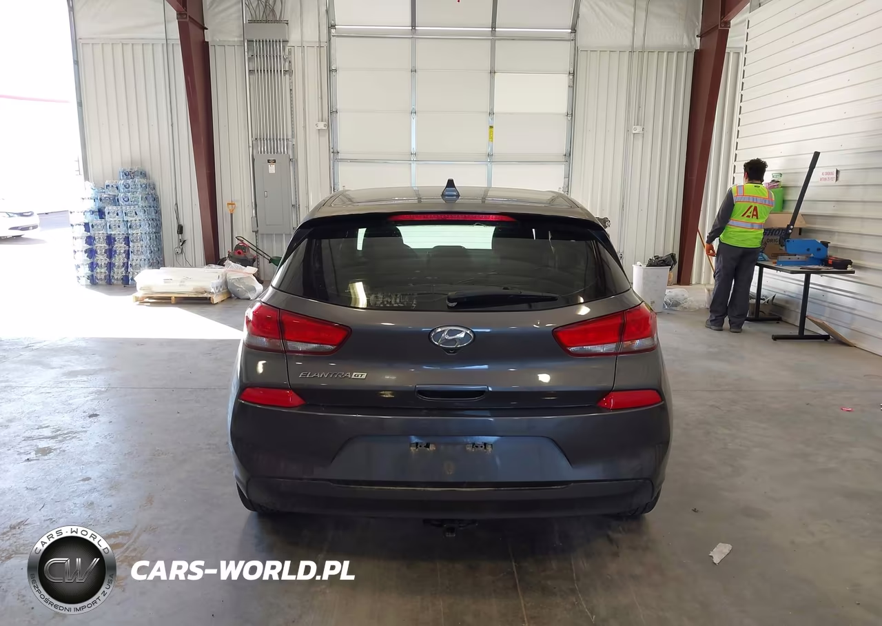 2019 Hyundai Elantra Gt VIN:KMHH35LE7KU102210 - 17