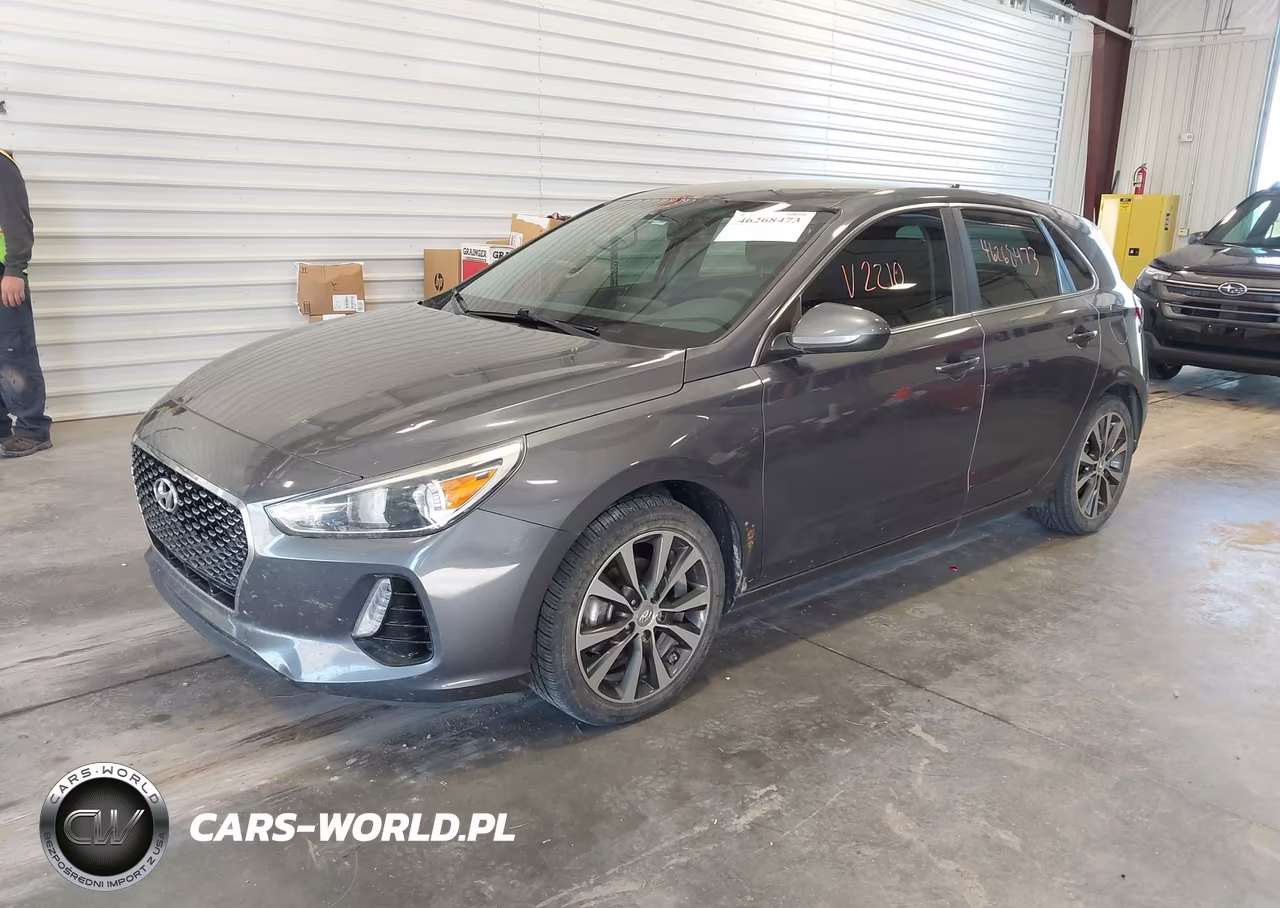 2019 Hyundai Elantra Gt VIN:KMHH35LE7KU102210 - 2