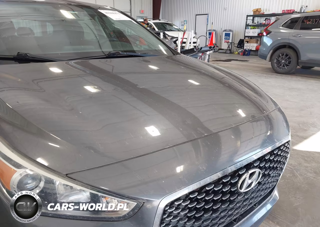 2019 Hyundai Elantra Gt VIN:KMHH35LE7KU102210 - 6