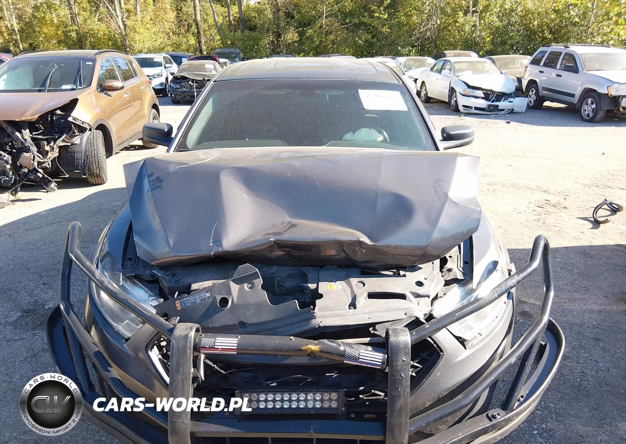 2013 Ford Police Interceptor VIN:1FAHP2MK8DG231284 - 12