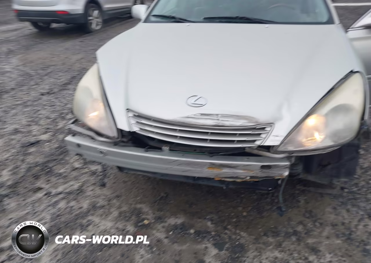2004 Lexus Es 330 VIN:JTHBA30G445020425 - 12