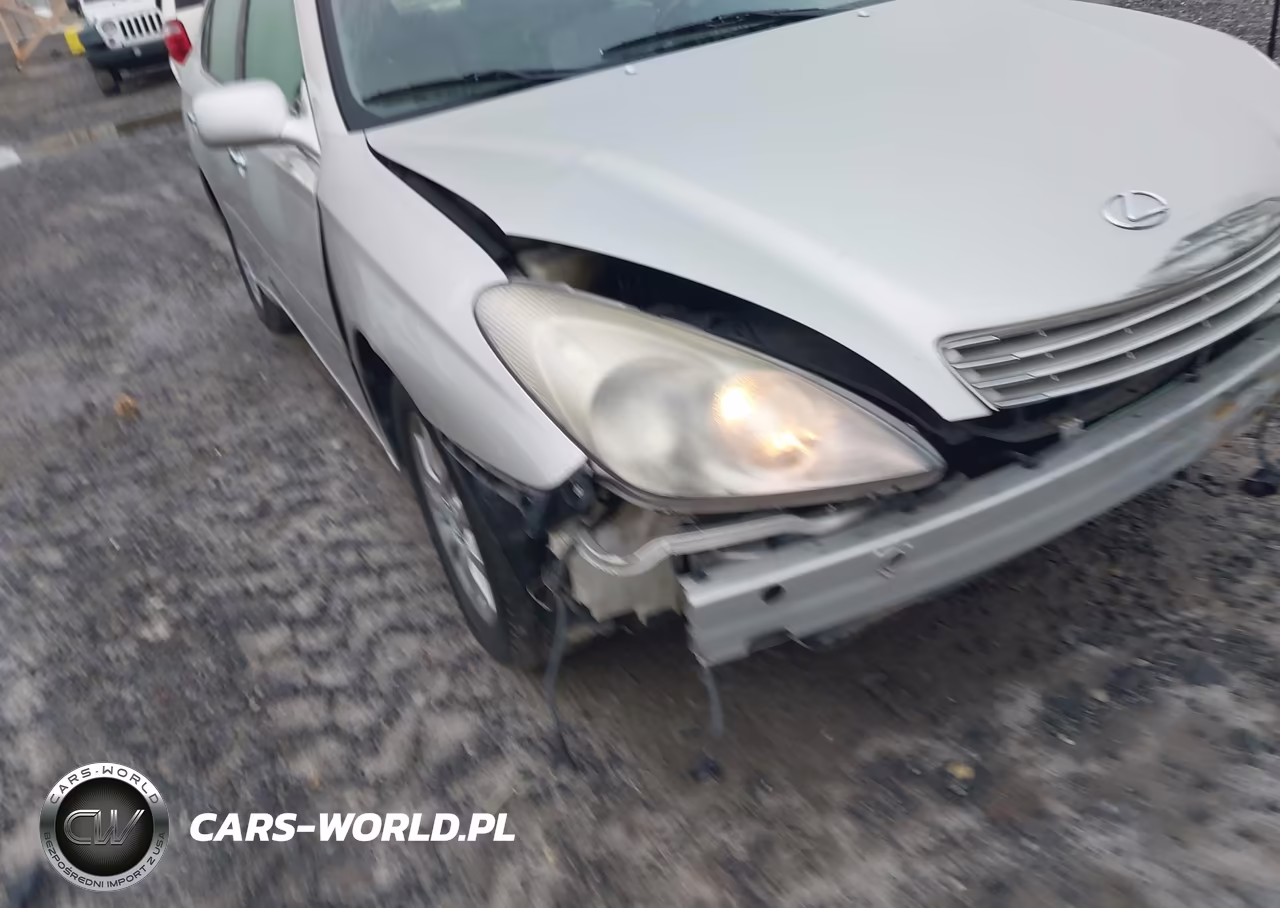 2004 Lexus Es 330 VIN:JTHBA30G445020425 - 13
