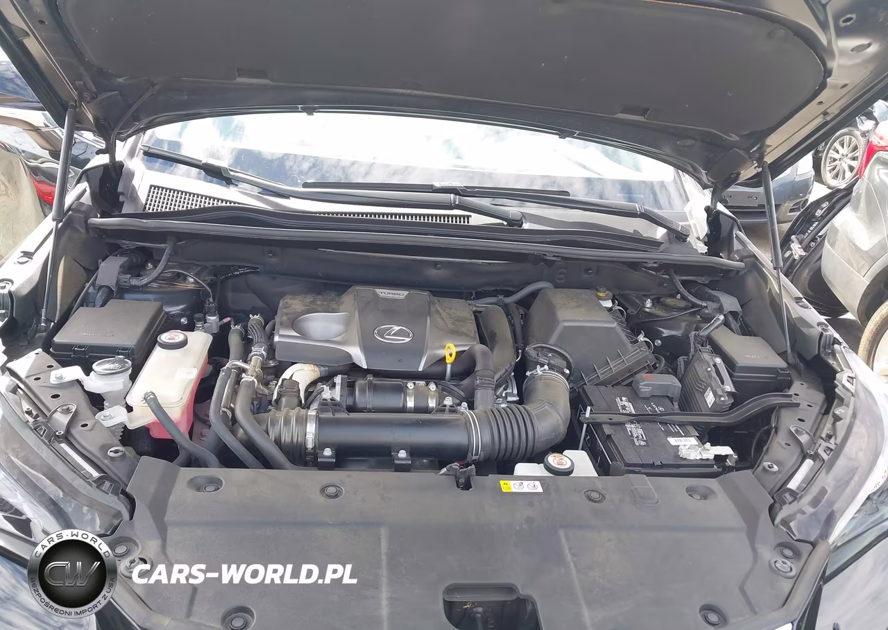 2021 Lexus Nx 300 VIN:JTJGARBZ3M2180223 - 10