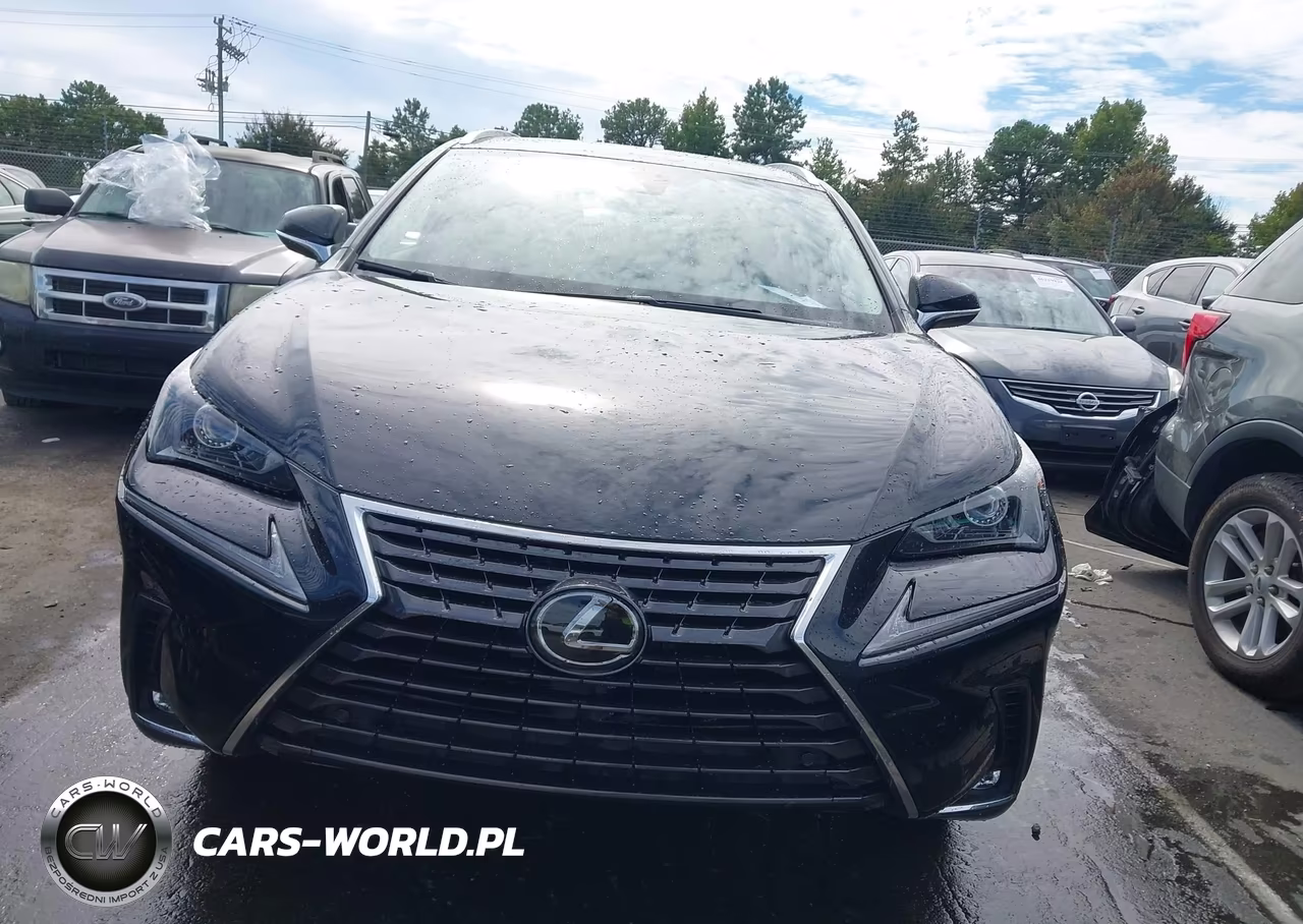 2021 Lexus Nx 300 VIN:JTJGARBZ3M2180223 - 12