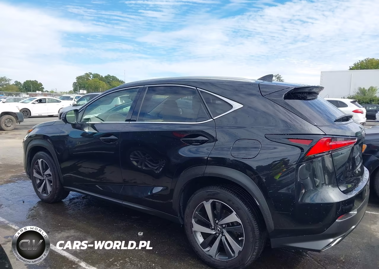 2021 Lexus Nx 300 VIN:JTJGARBZ3M2180223 - 14