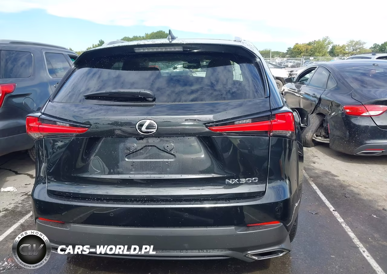 2021 Lexus Nx 300 VIN:JTJGARBZ3M2180223 - 16