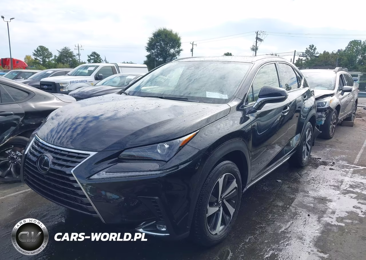 2021 Lexus Nx 300 VIN:JTJGARBZ3M2180223 - 2