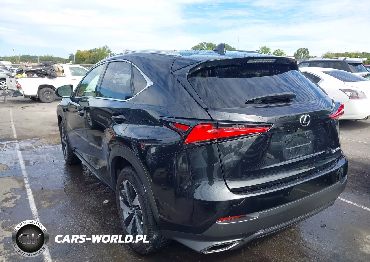 2021 Lexus Nx 300 VIN:JTJGARBZ3M2180223 - 3
