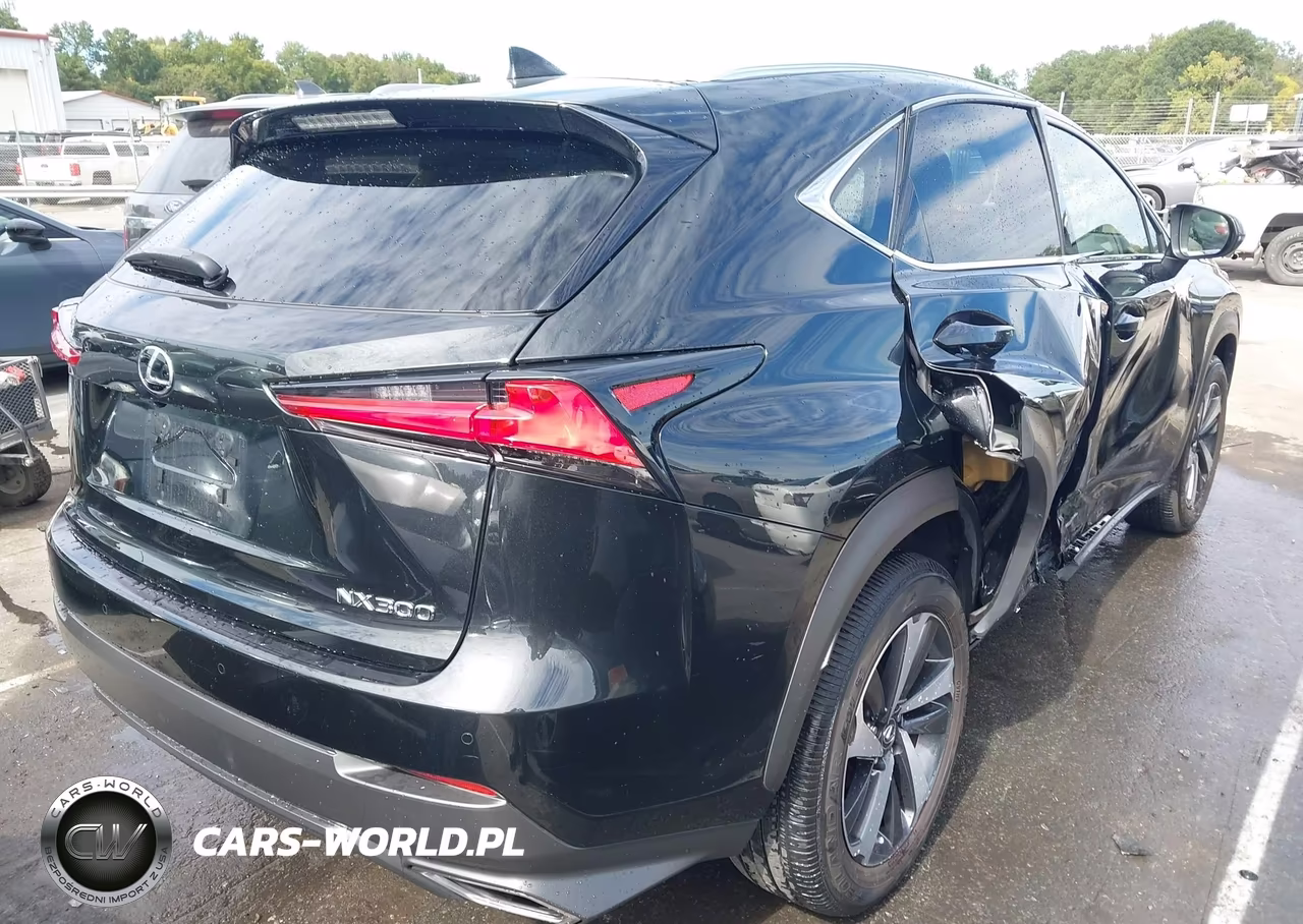 2021 Lexus Nx 300 VIN:JTJGARBZ3M2180223 - 4