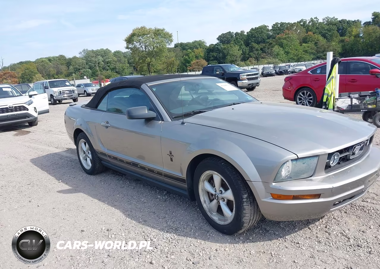 2008 Ford Mustang V6 Deluxe-V6 Premium VIN:1ZVHT84N985189435 - 1
