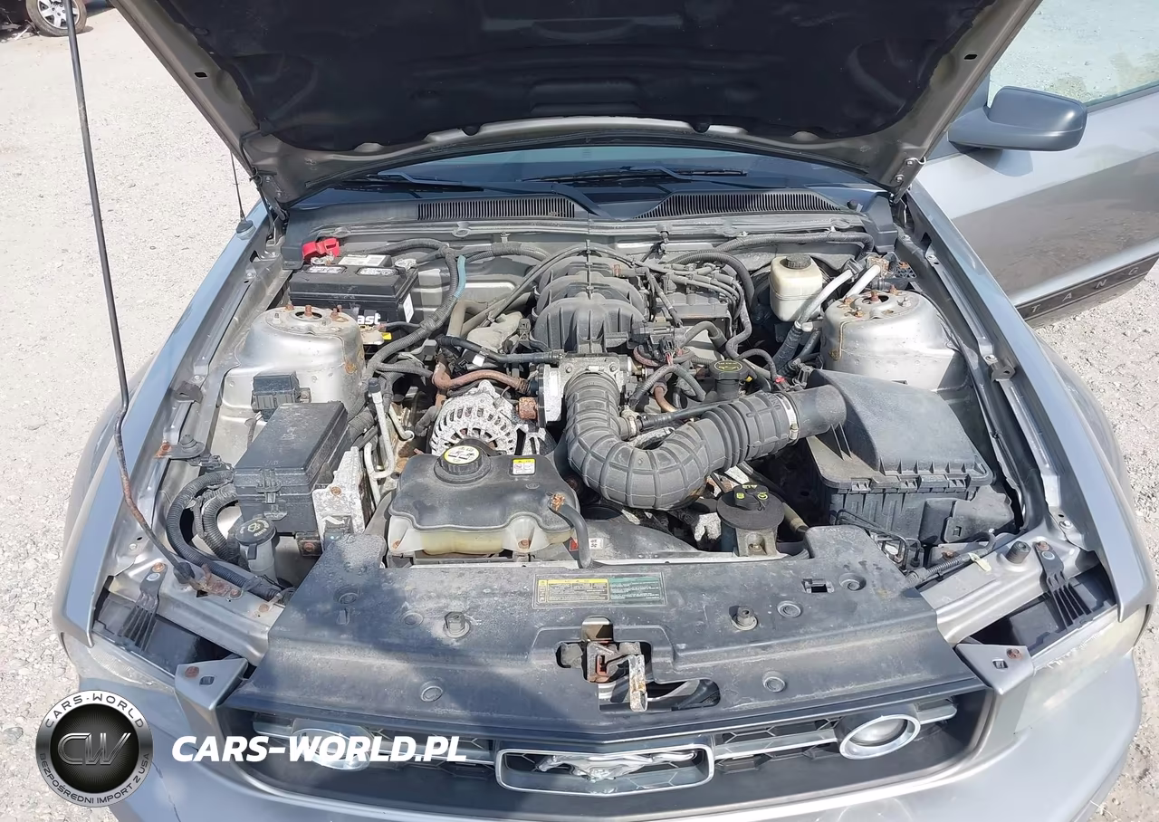2008 Ford Mustang V6 Deluxe-V6 Premium VIN:1ZVHT84N985189435 - 10