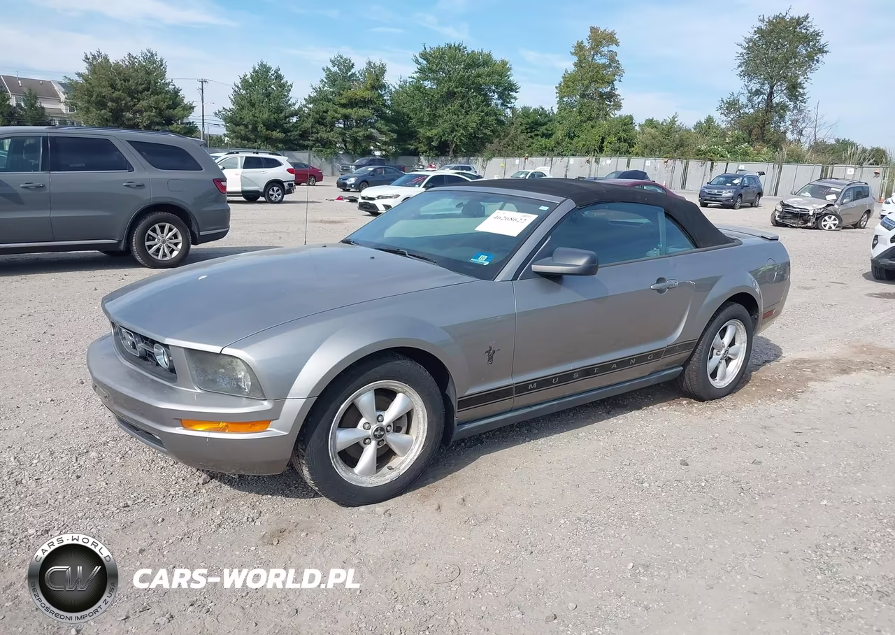 2008 Ford Mustang V6 Deluxe-V6 Premium VIN:1ZVHT84N985189435 - 2