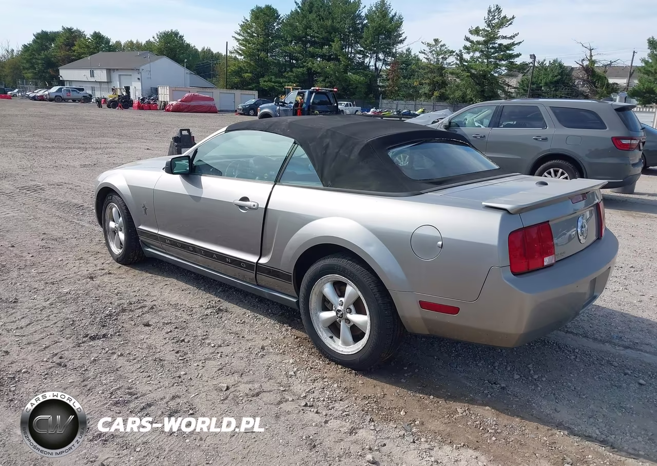 2008 Ford Mustang V6 Deluxe-V6 Premium VIN:1ZVHT84N985189435 - 3