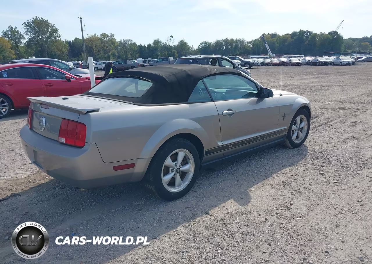 2008 Ford Mustang V6 Deluxe-V6 Premium VIN:1ZVHT84N985189435 - 4