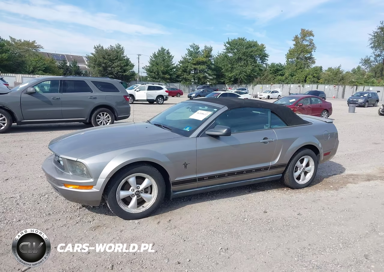 2008 Ford Mustang V6 Deluxe-V6 Premium VIN:1ZVHT84N985189435 - 6