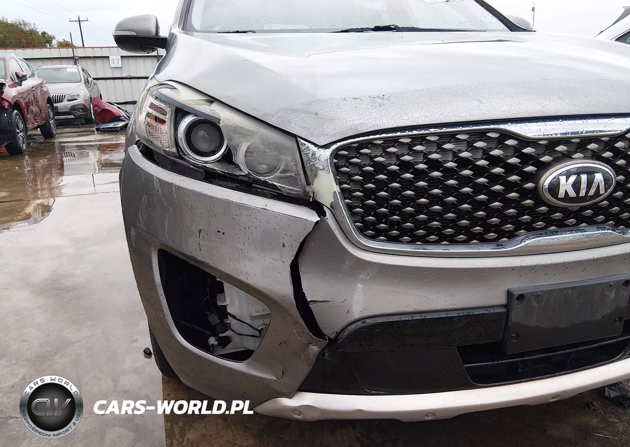 2017 Kia Sorento 3.3L Sx VIN:5XYPK4A51HG232221 - 17