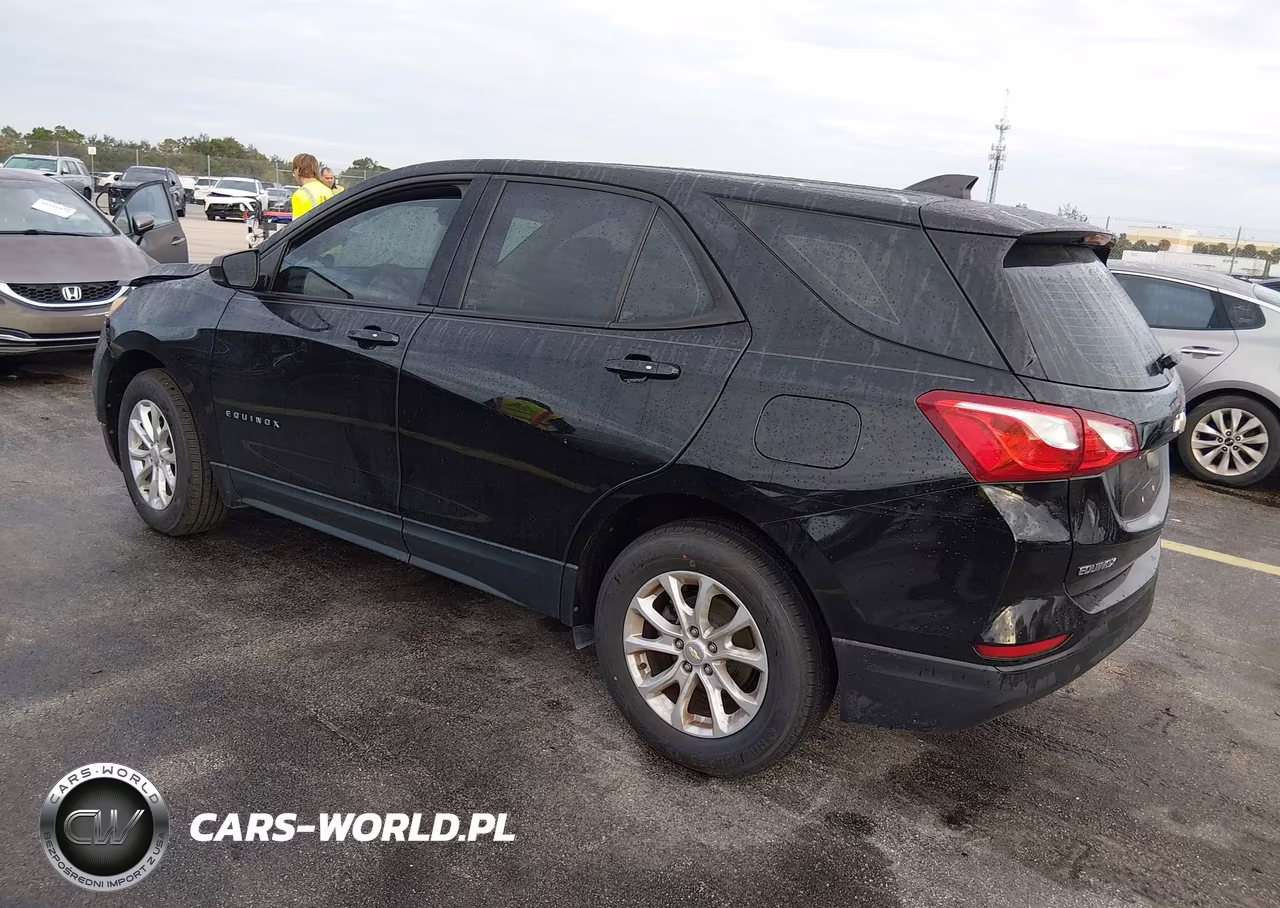 2019 Chevrolet Equinox Ls VIN:2GNAXSEV4K6240587 - 3