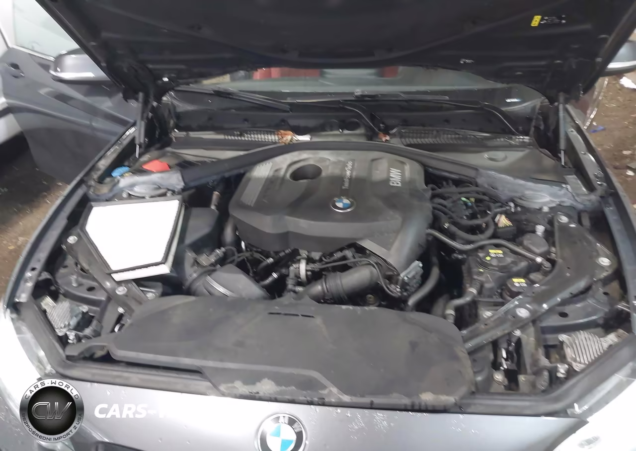 2020 BMW 230I xDrive VIN:WBA2K1C0XL7E02012 - 10
