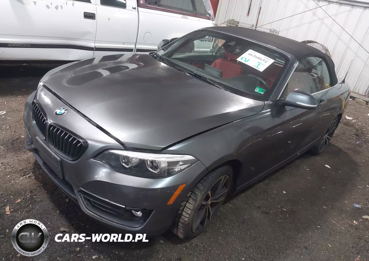 2020 BMW 230I xDrive VIN:WBA2K1C0XL7E02012 - 2