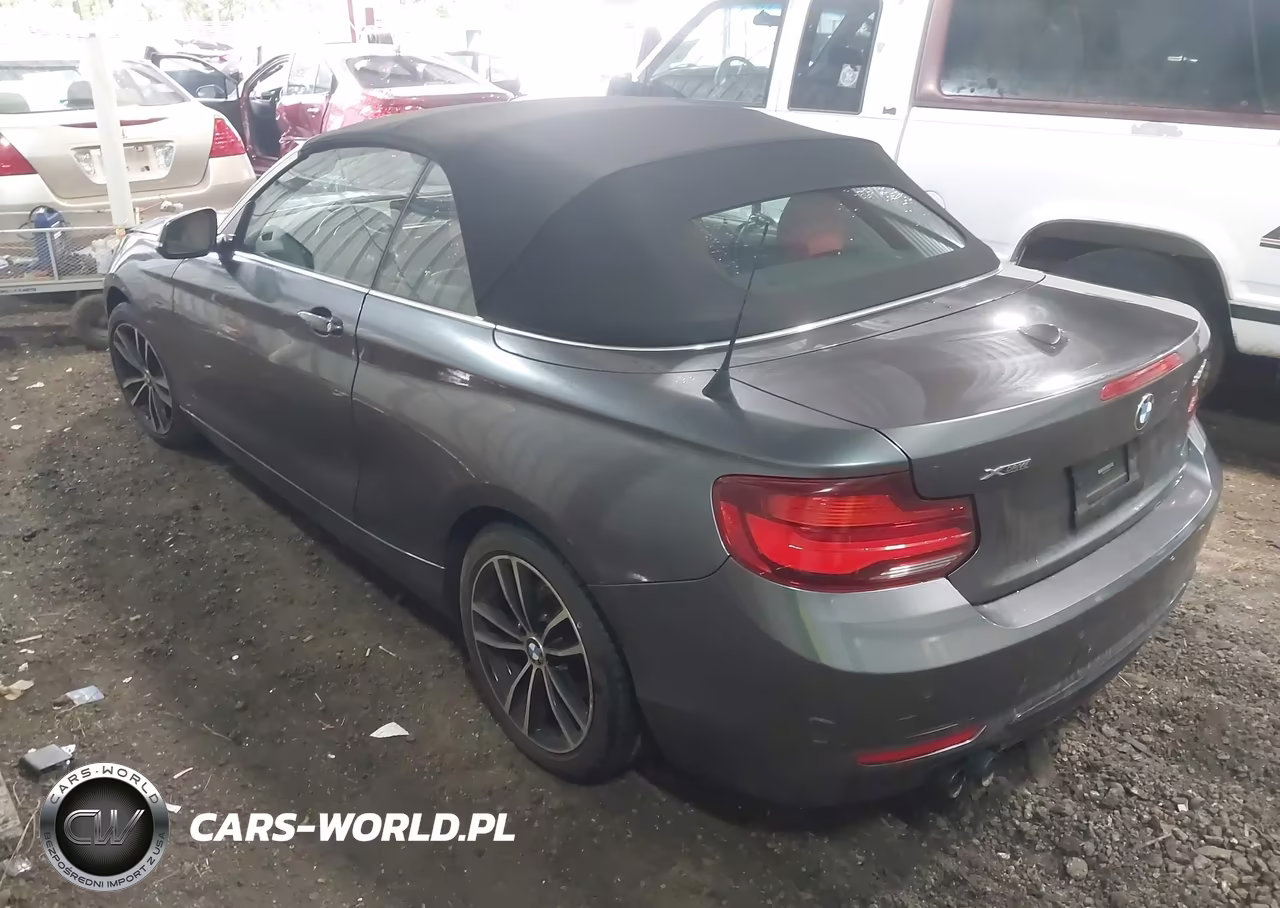 2020 BMW 230I xDrive VIN:WBA2K1C0XL7E02012 - 3