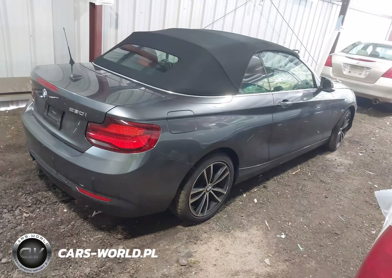 2020 BMW 230I xDrive VIN:WBA2K1C0XL7E02012 - 4