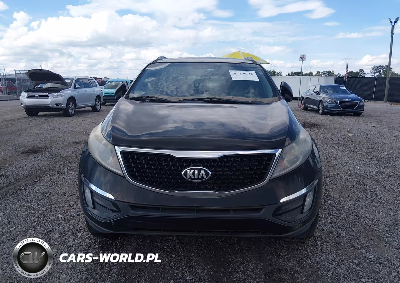 2015 Kia Sportage Ex VIN:KNDPC3AC4F7718862 - 12