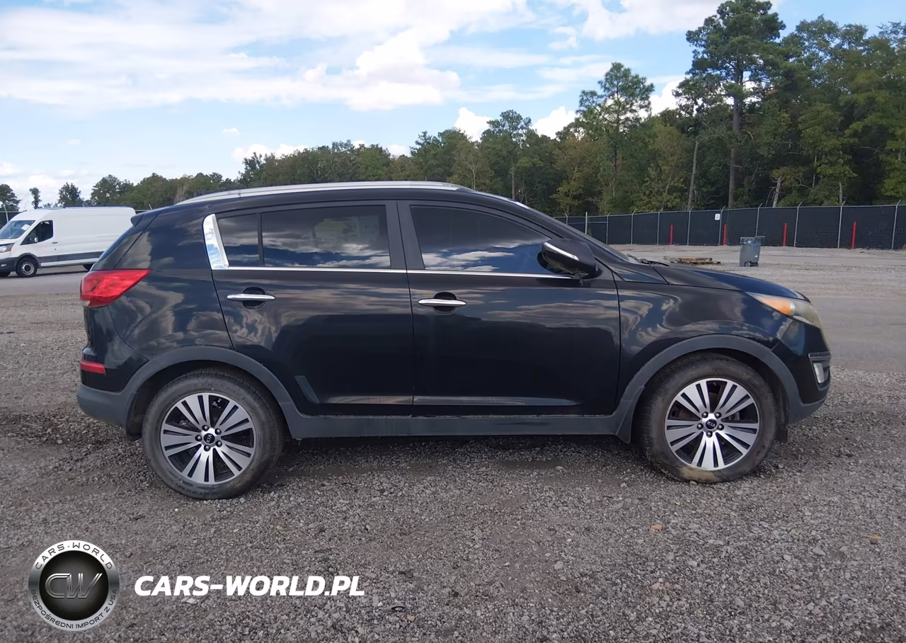 2015 Kia Sportage Ex VIN:KNDPC3AC4F7718862 - 13