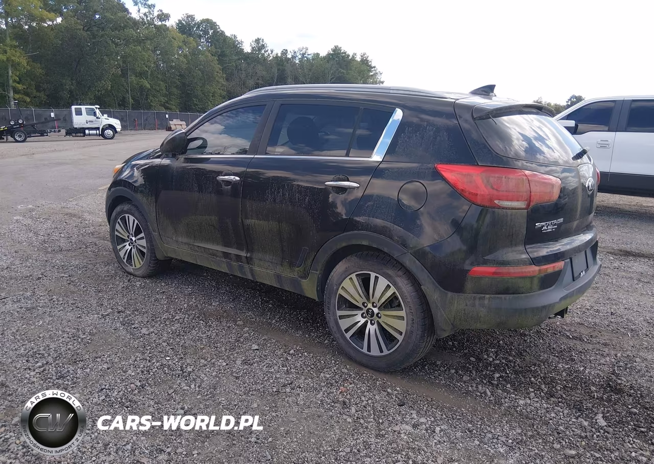 2015 Kia Sportage Ex VIN:KNDPC3AC4F7718862 - 3