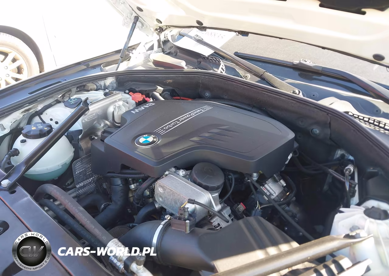 2014 BMW 528I VIN:WBA5A5C51ED507171 - 10