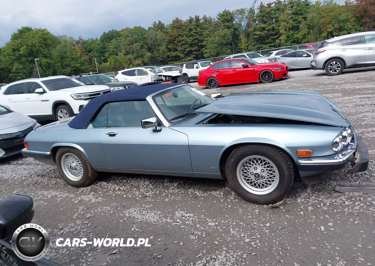 1990 Jaguar Xjs VIN:SAJNW4841LC172450 - 13