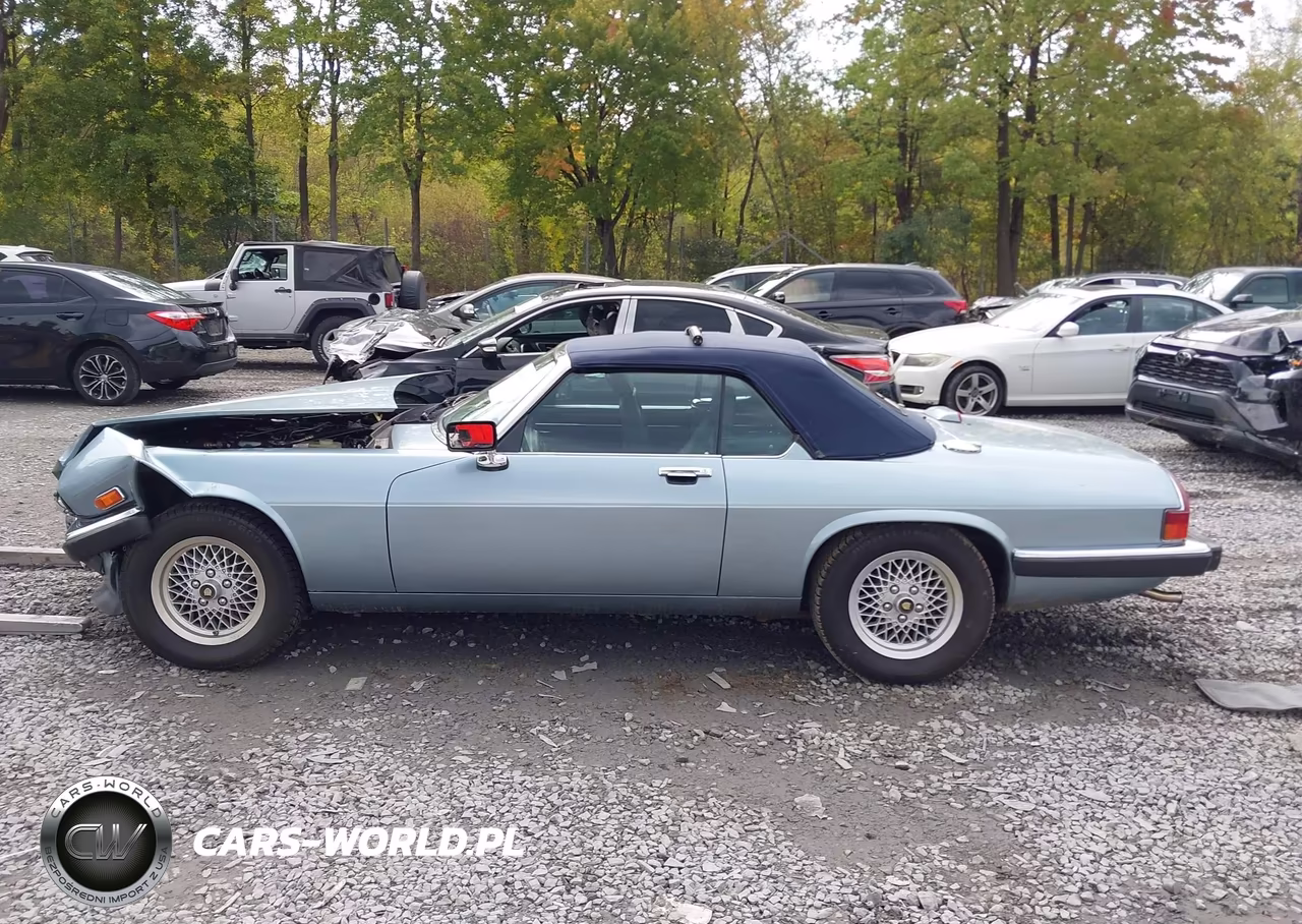 1990 Jaguar Xjs VIN:SAJNW4841LC172450 - 14