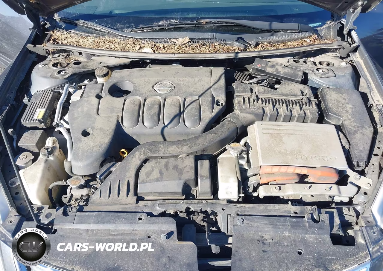 2010 Nissan Altima Hybrid VIN:1N4CL2AP5AC125450 - 10