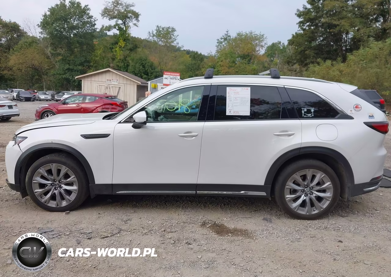 2024 Mazda Cx-90 3.3 Turbo Premium Plus VIN:JM3KKEHD9R1100376 - 14