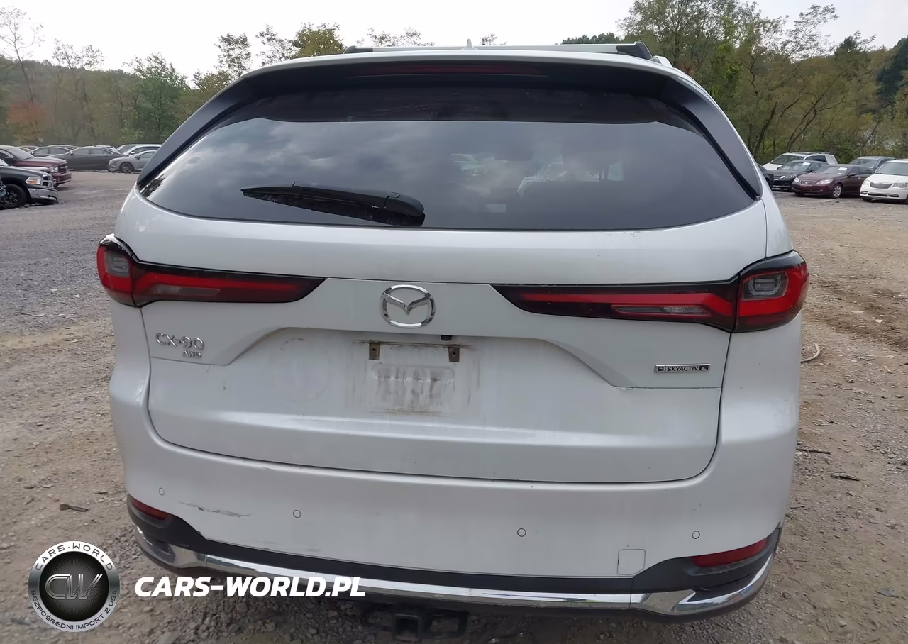 2024 Mazda Cx-90 3.3 Turbo Premium Plus VIN:JM3KKEHD9R1100376 - 16