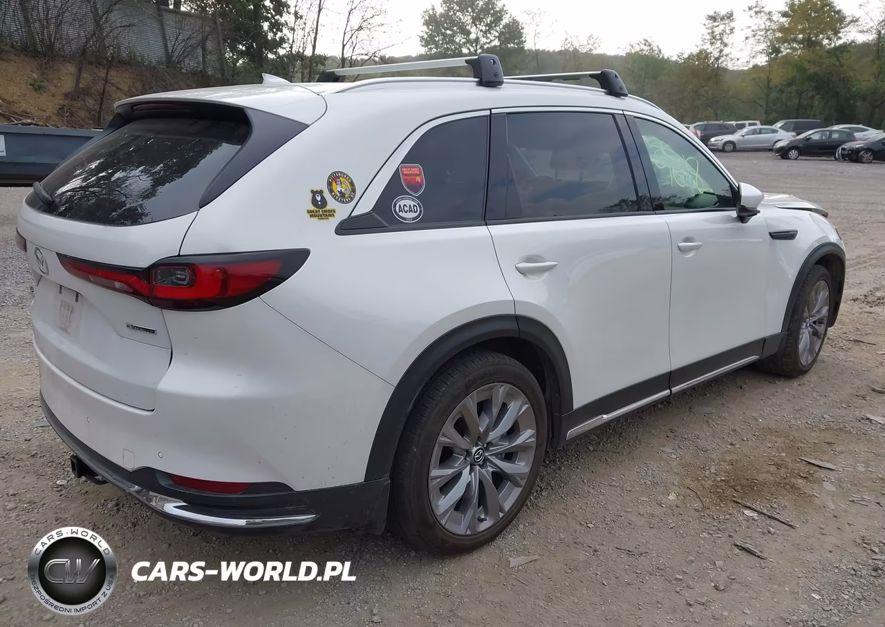 2024 Mazda Cx-90 3.3 Turbo Premium Plus VIN:JM3KKEHD9R1100376 - 4