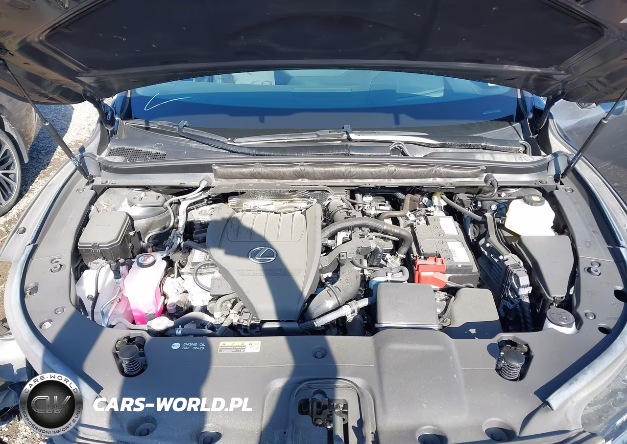 2024 Lexus Rx 350 Premium Plus VIN:2T2BAMCA9RC074663 - 10